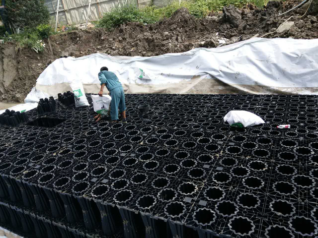 盐城碧桂园二期雨水收集项目